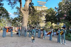 Mariachi performers playing instruments under a large pecan tree