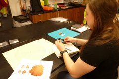Woman examining artifact over a paper notebook