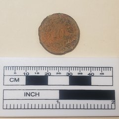 Coin with number 10 in the center with perimeter of leaves next to a ruler