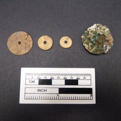 Three bone buttons and a loop shank next to a ruler to show size