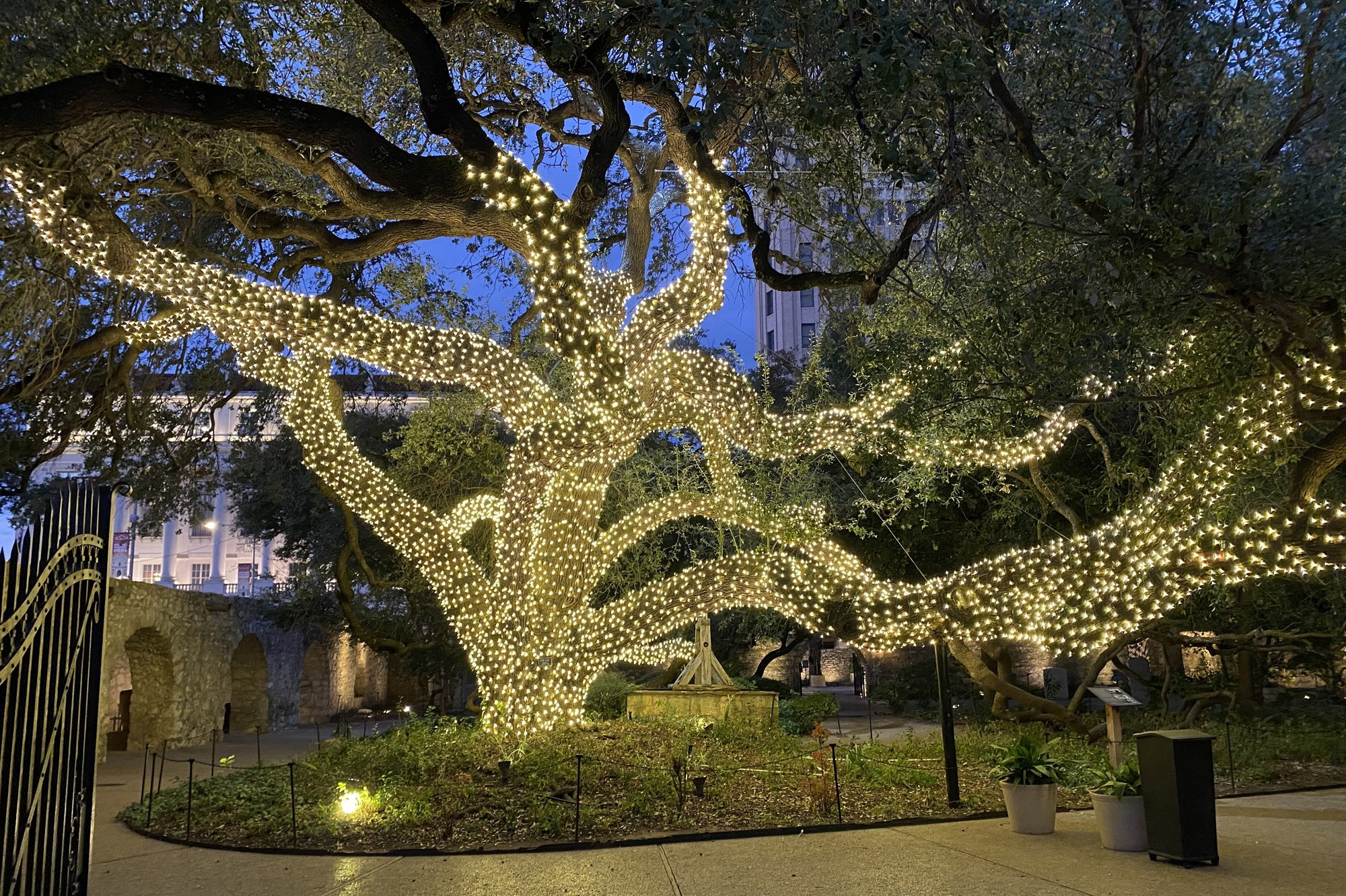 Alamo Lights The Alamo