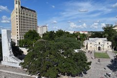 View of Alamo Church and Cenotaph from La Vista Terrace