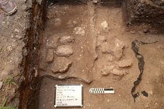 Limestone feature at dirt bottom of an excavation unit
