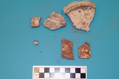 Ceramic fragment artifacts on a blue background next to a ruler for size