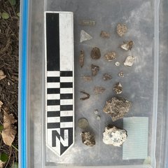 Nails, brick fragments, mortar fragments, glass shard, and ceramic artifacts from an excavation next to a ruler