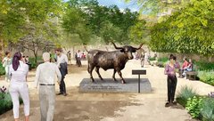 Rendering of bronze steer sculpture in a courtyard surrounded by trees
