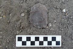 Oval shaped gray flat rock next to a ruler on a bed of gravel