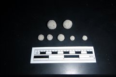 Seven white ammunition balls next to a ruler for size