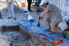 Archaeologist conducting an investigation