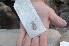 Small flake on a small board sitting on the palm of a hand