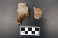 Two lithics recovered from an excavation unit next to a ruler for size
