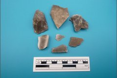 Seven stone fragments next a ruler for size