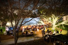 Evening view of event showing tented structures and trees with string lights