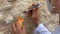 Alamo Conservator Pam Rosser extracting pigment samples from the Church walls