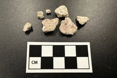 Seven fragments of pigmented plaster next to a ruler for size