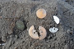 Buttons, some broken, found in an excavation unit laid on a dirt surface