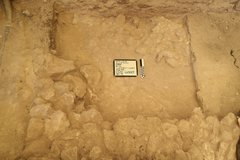 Gold colored limestone surface at bottom of excavation unit