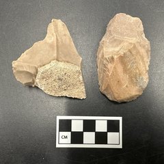 Two stone lithics next to a ruler for size