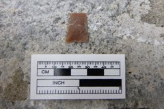 Point fragment next to a ruler for scale