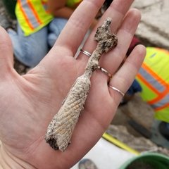 Two pronged fork artifact on a hand to show size