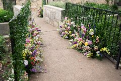 Spring florals lining both sides of a small concrete walkway with black fencing