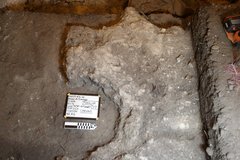 Bottom of excavation unit with limestone and sandy mortar concentration