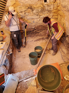 Archaeologists with shovels and hand picks in excavation unit