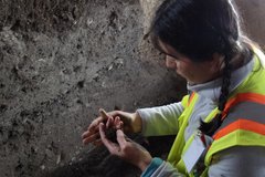 Archaeologist looking at soil inside excavation unit