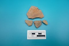Fragments of goliad plain ware next to a ruler for size