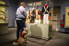 A service dog and its owner at the Alamo Museum Annex