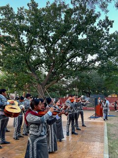 Mariachi performers lined up on a wooden dance floor playing instruments under a tree