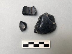 Fragments of glass, dark olive in color