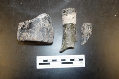 Fragments of olive glass next to a ruler for size