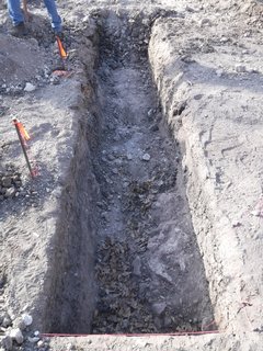 Inside of long, thin, rectangular excavation unit