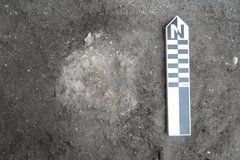 Posthole with a lime surface next to a ruler for size