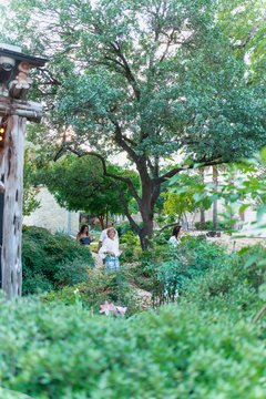 Guests walking along Alamo Gardens