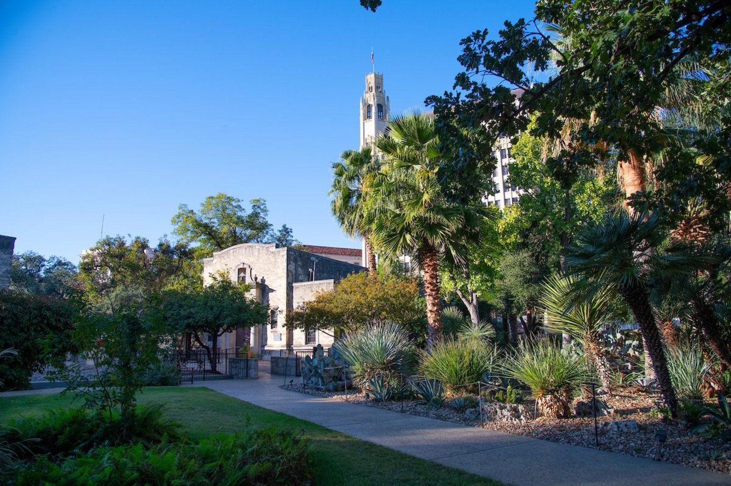 Alamo Gardens The Alamo