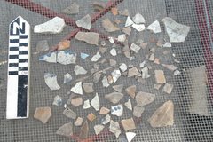 Variety of small ceramic sherds on a fenced surface next to a ruler to show size
