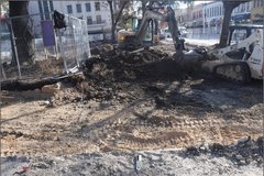 Tree with fencing around it in dirt area with a construction truck
