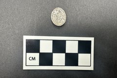 Round glass object next to a ruler for size