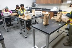Technicians working in a lab sorting through artifacts from an excavation