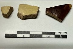 Three stone fragments next to a black and white ruler