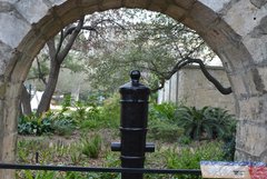 A newly conserved Alamo cannon on display.