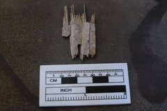 Portions of a hair comb next to a ruler for scale