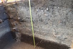 Yellow tape measure on side of soil profile in an excavation unit