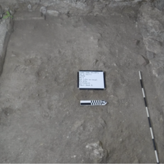 Excavation in Alamo Church