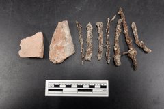 Construction materials including nails next to a ruler for size