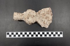 Head of a hatchet from an excavation unit next to a ruler for size
