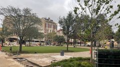 Large grass area surrounded by trees in community park
