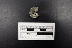 Partial button from an excavation unit next to a ruler for size